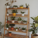 Pérgola Rack Para Terrazas de Bambu. Tres niveles. Inicio